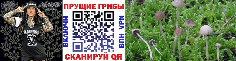 Галлюциногенные грибы GOLDEN TEACHER  цены наркотик  Анжеро-Судженск 